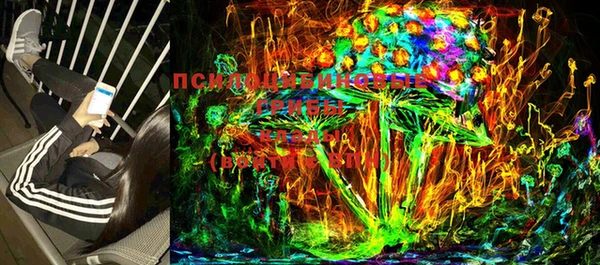 дурь Карпинск